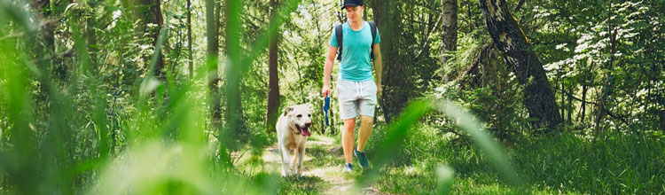 man-in-blue-top-walking-dog-through-forest (Shutterstock, Jaromir Chalabala)