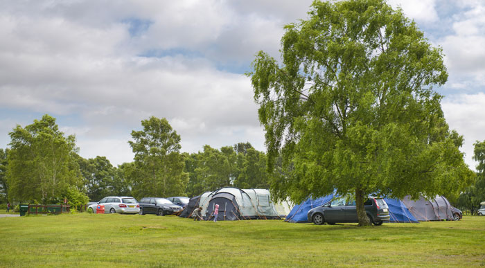 group-camping