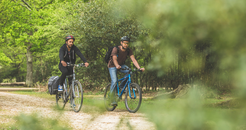 ashurst cycle hire