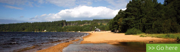 beach at glenmore campsite