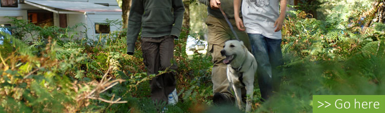 family walking their dog at hollands wood