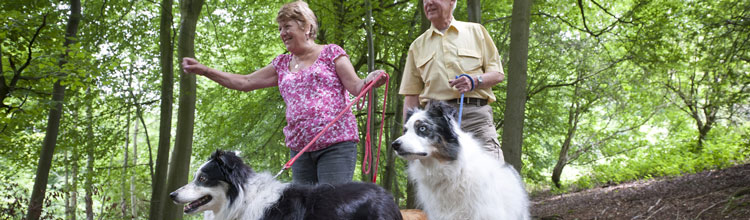 couple-walking-dogs-though-postern-hill-campsite